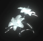 Isles of Loot Community
