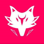 -The Fox Clan-
