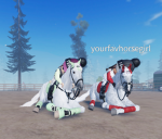 Mes stables riding