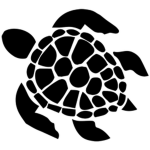 i have a turtle