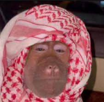 جيش دحوم الكفو