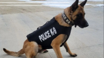 [FSRP] K9 GROUP