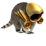 RACCOON WARRIOR'S