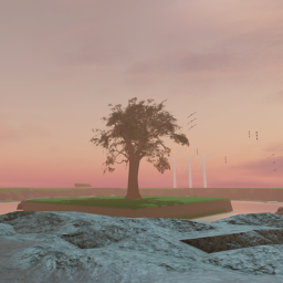 Sunset Forest