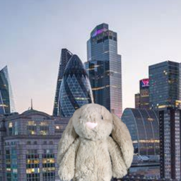 POV: you are being chased by bunnies in a city