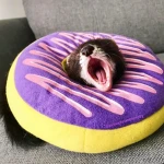 oké Group Thumbnail