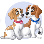 Magic dogs