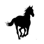 TheDarkHorse Sqaud