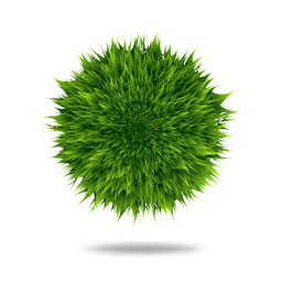 Clan Kingdom