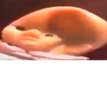 wasdfghj