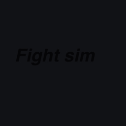 fight sim