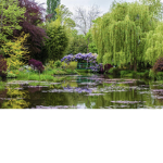 TheSquadsGarden <3