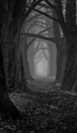 Beware of what's behind -Production group-
