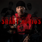 The official Shady Audios