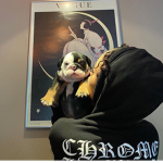 apparel bb
