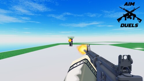 Aim Duels