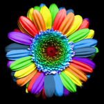 Fun Flower :)