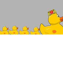 Army Duck  Training