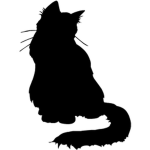 Mittens The Cat