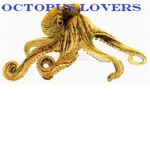 Octopus Lovers!