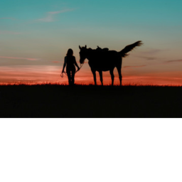 Noble Hope Stables {ALPHA}