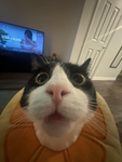 Hello and welcome to Anime