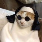Diet_Prada