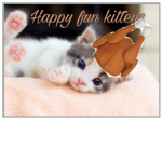 Happy fun kittens