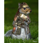 Chipmunk Chumps