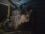 Cuteskycloud