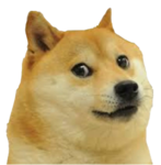 doggo doggo338