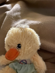 Bedwarsfun