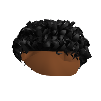 Black Curly Hair Textured  Roblox item