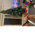 Christmas Tree: Fan Club