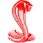 Red Cobra Football
