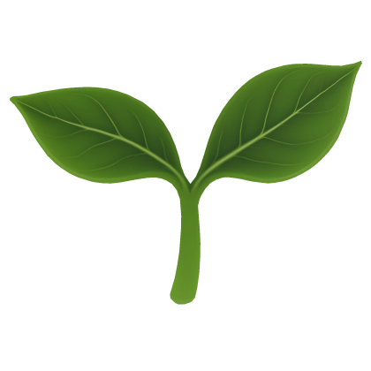 leaf sprout 
