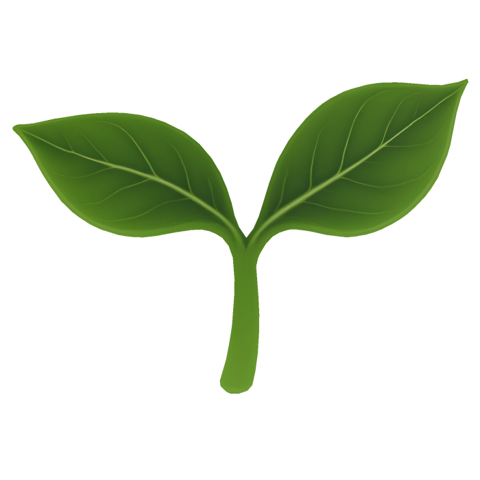 leaf sprout 