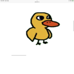 Duck and chicken fan club