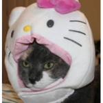 Daisy :D