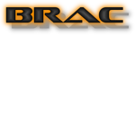 Bricktron Robotics/Aeronautics Company (BRAC)