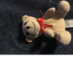 Teddy master the panda