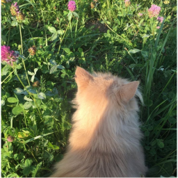 ʚ♡ɞ