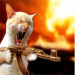 the fighting kittenz