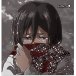 Mikasa fanz !+!