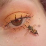 The Social Bee's <3