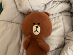BearProductions77