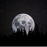 {Moon’s Group}