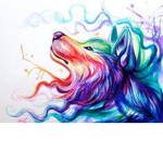 Rainbow wolves!