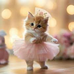 Project Kitty Cat