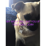 PUPPYWoLFS